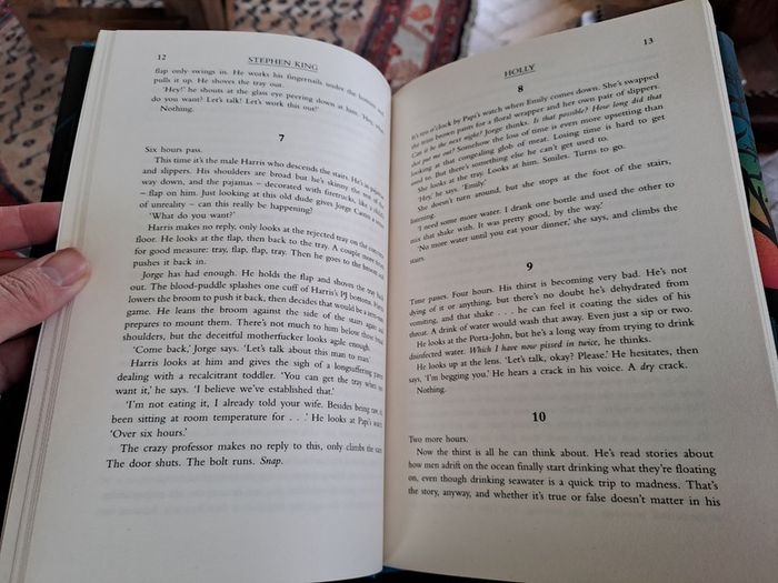 1st ed Stephen King Holly