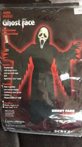 Halloween Costume