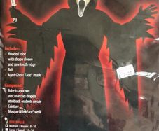 Halloween Costume