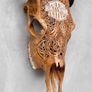 harley skull Image 4