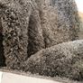 Grey rug Image 2