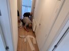 Laminate Flooring Image 9