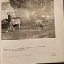 Forest Images. Fr Browne's Woodland Photographs From Emo Court Co Laois. Fabolous FIRST EDITION Large Volume Hardback In Good Condition.  See Photos For Same. Image 6