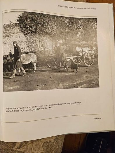 Forest Images. Fr Browne's Woodland Photographs From Emo Court Co Laois. Fabolous FIRST EDITION Large Volume Hardback In Good Condition.  See Photos For Same.