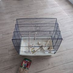 bird cage