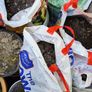 Beautiful Ballinteer Fresh Soil Image 3