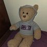 Build a Bear - NFL Giants Teddy Image 4