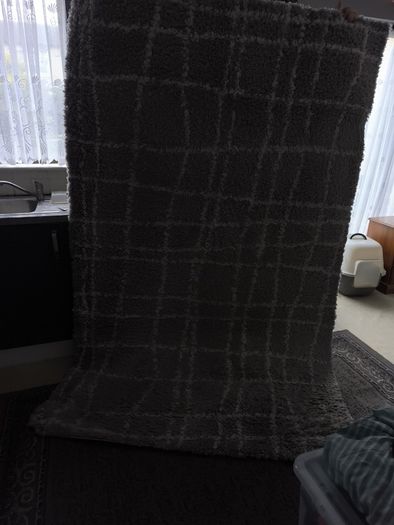 floor mat