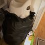 Free toys and potty Image 2