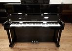 New Hailun 120 Premium Piano