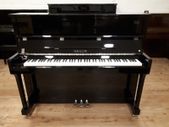 New Hailun 120 Premium Piano