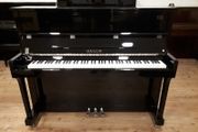 New Hailun 120 Premium Piano