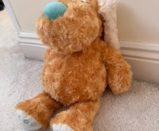 Anna Club Plush Plush Dog Blue nose approx. 40 cm. Used Please see photos