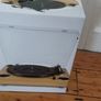 Record player Image 3