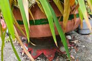 Large handmade planter