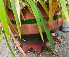 Large handmade planter