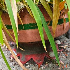 Large handmade planter