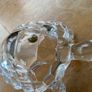 crystal turtle Image 3