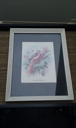 Wall Picture - Woodpecker