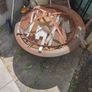 Firepit Image 4
