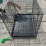 dog crate XL Image 2
