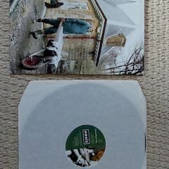 Oasis - Some Might Say 12" Vinyl Original First Pressing 1995
