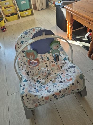 Fisher Price Baby Bouncer