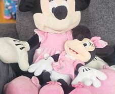 Mini mouse toy bundle