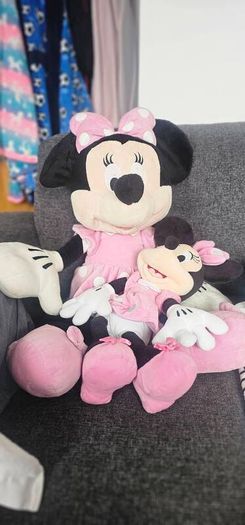 Mini mouse toy bundle