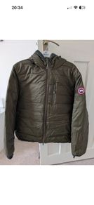 canada goose