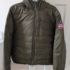 canada goose