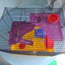 Hamster Cage Image 2