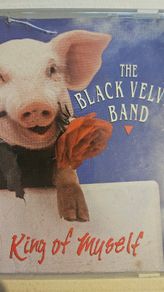 Black Velvet Band - King Of Myself.