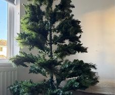 christmas tree