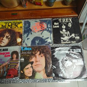 6 T.Rex Marc Bolan German PS 7"s