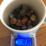 Natural Multi Coloured Wired Stone Necklace 40" Image 4