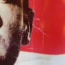 Eric Cantona Poster Image 4