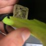 Nike Tiempo boots UK11 Image 5