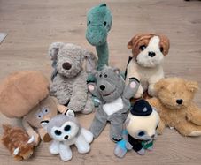 Teddy bear bundle