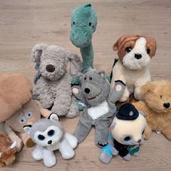 Teddy bear bundle