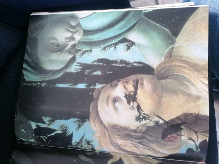 Story of Painting by Sister Wendy Beckett (Hardcover)