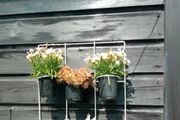 3 x 6 pot garden wall hanger so will hold 18 pots