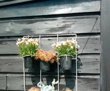 3 x 6 pot garden wall hanger so will hold 18 pots