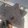 Gutter Image 3