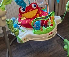 Fisher-Price Rainforest Jumperoo - Great Condition