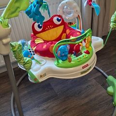Fisher-Price Rainforest Jumperoo - Great Condition
