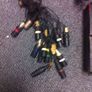 Multicore mixing desk cables for stage or studio. Image 2