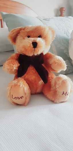 Love Me Teddy Bear