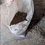 soil Image 2