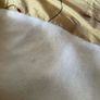 Beautiful Gold Interlined Silk Curtains 84"w x 97"d Image 4